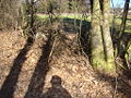 Sličica za različico 19:48, 20. marec 2011