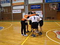 Sličica za različico 07:02, 1. marec 2010