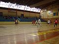 Sličica za različico 06:17, 15. februar 2010