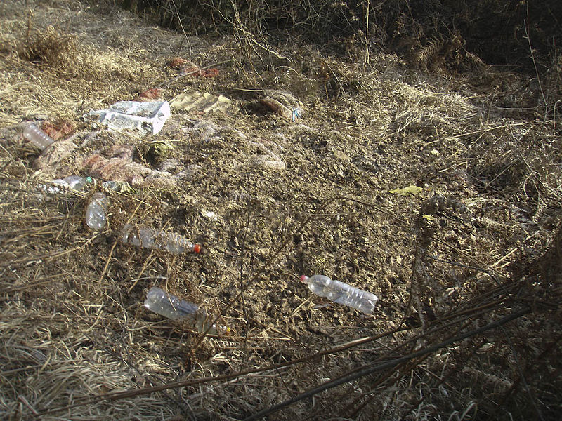 Slika:Smeti bitnje krompir P2224948.jpg
