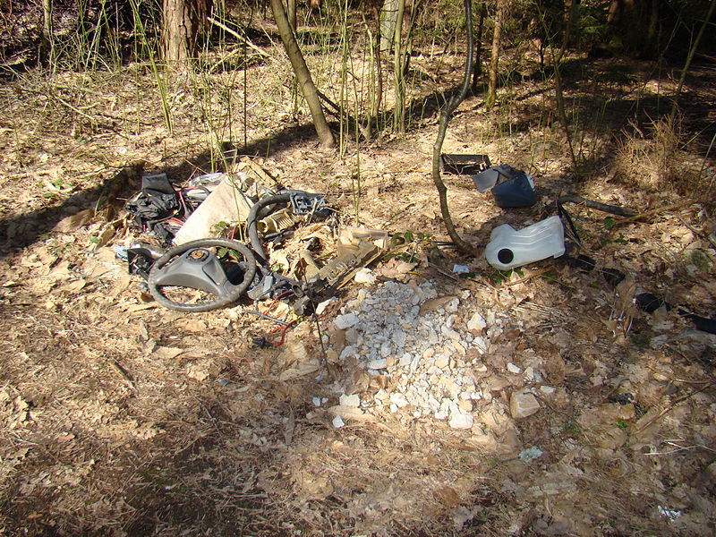 Slika:DSC03297 resize.JPG