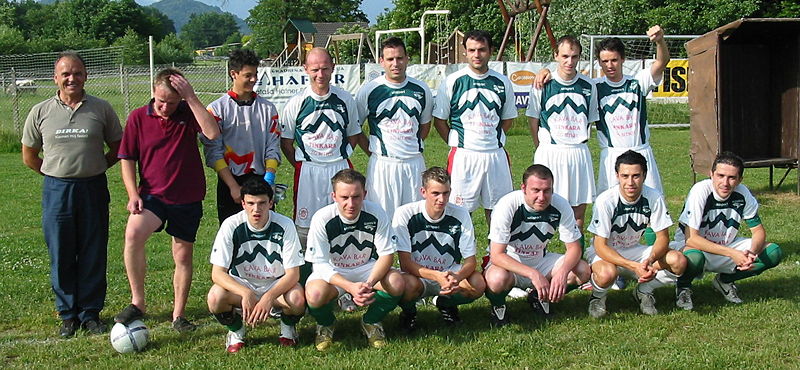 Slika:NK Bitnje clanska ekipa 2007 05 26.jpg