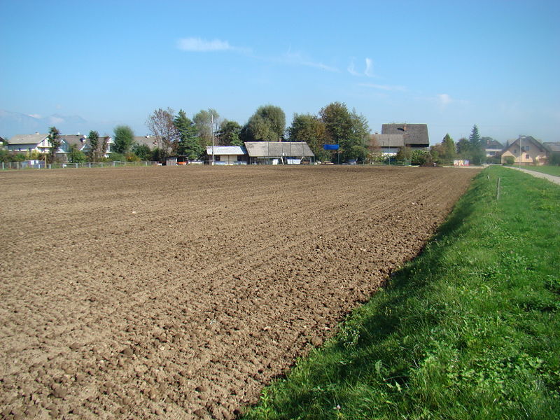 Slika:DSC02266.JPG