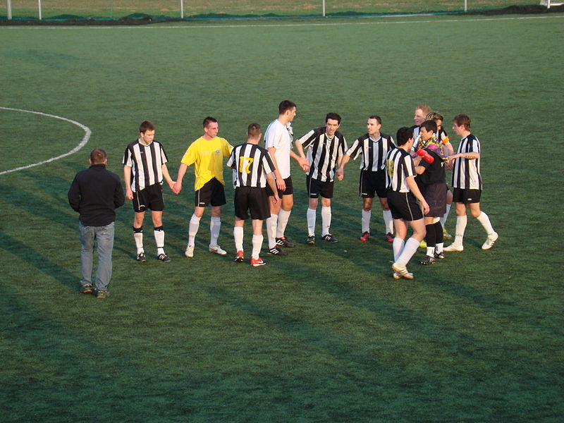 Slika:2011 DSC03530.JPG
