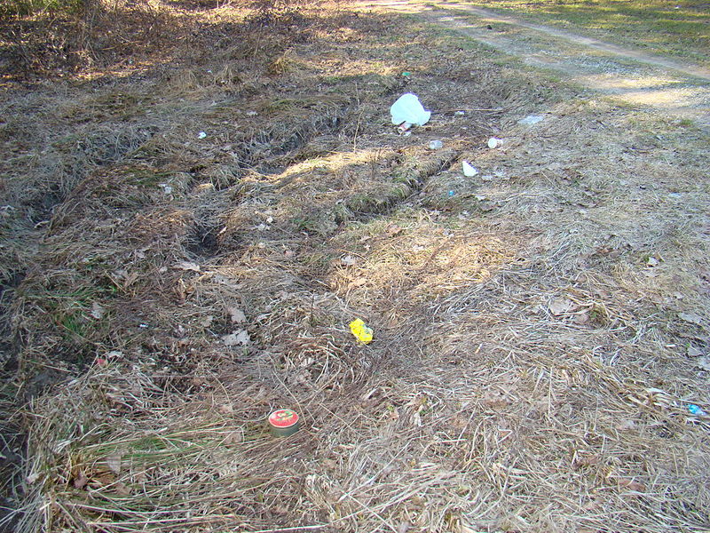 Slika:DSC03327 resize.JPG