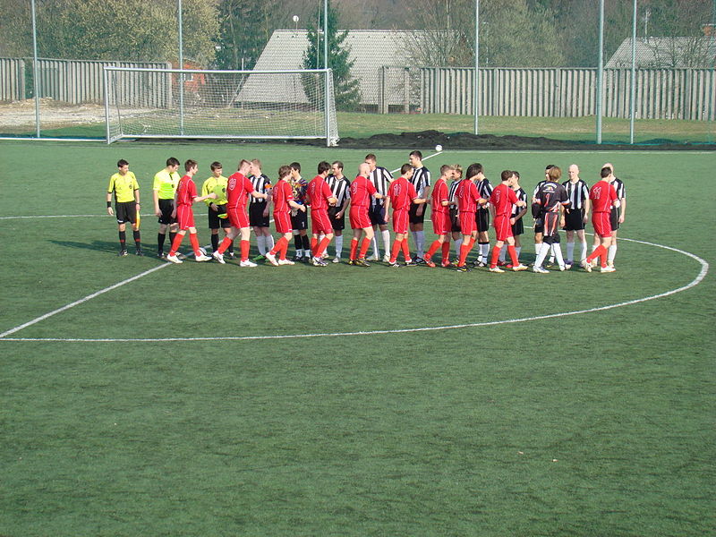 Slika:2011 DSC03488.JPG