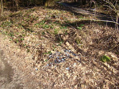 DSC03321 resize.JPG