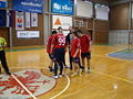 Sličica za različico 07:03, 1. marec 2010