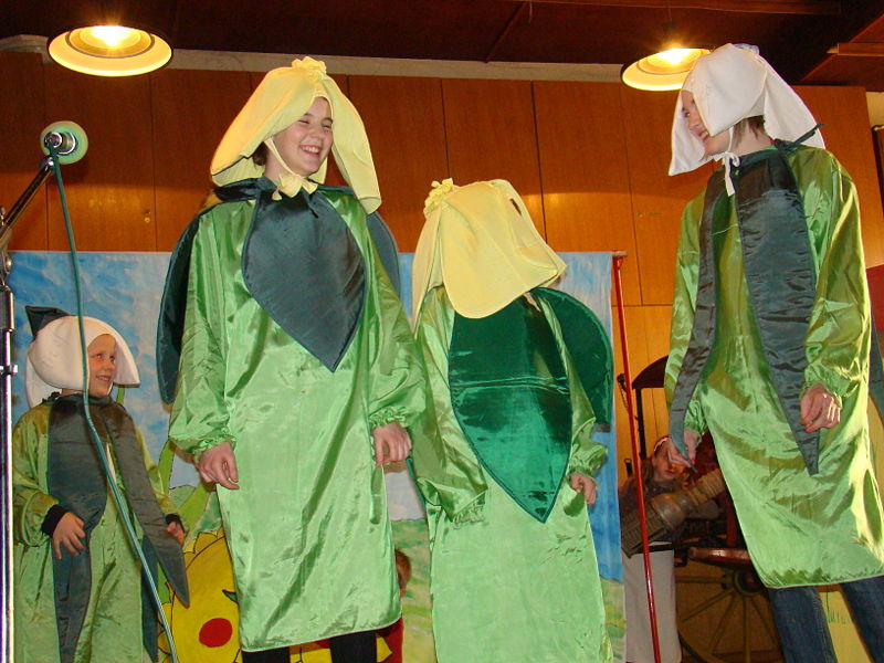 Slika:Prihod pomladi 2011 07.JPG