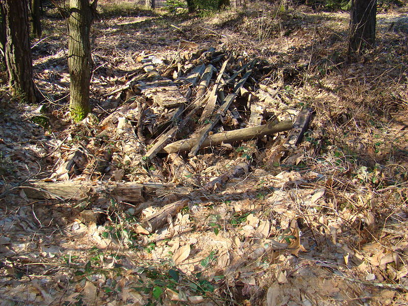 Slika:DSC03302 resize.JPG