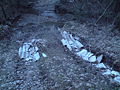 Sličica za različico 05:59, 7. januar 2010