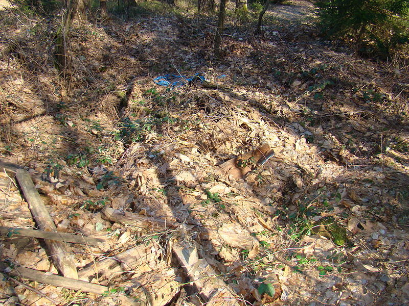 Slika:DSC03303 resize.JPG
