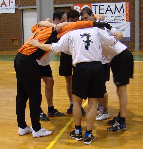 Slika:NK Bitnje 2010 02 28 Finale.jpg
