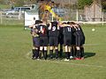 Sličica za različico 16:59, 31. oktober 2009